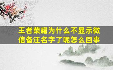 王者荣耀为什么不显示微信备注名字了呢怎么回事