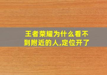 王者荣耀为什么看不到附近的人,定位开了