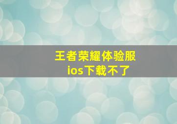 王者荣耀体验服ios下载不了