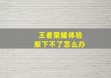 王者荣耀体验服下不了怎么办