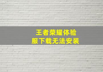 王者荣耀体验服下载无法安装