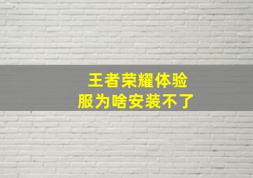 王者荣耀体验服为啥安装不了