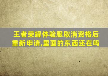 王者荣耀体验服取消资格后重新申请,里面的东西还在吗