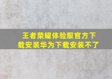 王者荣耀体验服官方下载安装华为下载安装不了