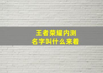 王者荣耀内测名字叫什么来着