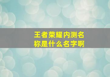 王者荣耀内测名称是什么名字啊