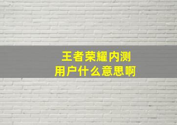 王者荣耀内测用户什么意思啊