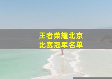 王者荣耀北京比赛冠军名单