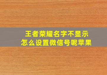 王者荣耀名字不显示怎么设置微信号呢苹果