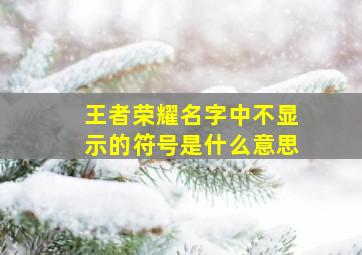 王者荣耀名字中不显示的符号是什么意思