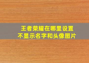 王者荣耀在哪里设置不显示名字和头像图片