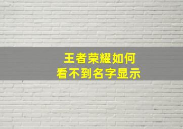 王者荣耀如何看不到名字显示