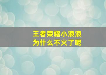 王者荣耀小浪浪为什么不火了呢