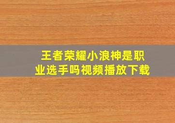 王者荣耀小浪神是职业选手吗视频播放下载