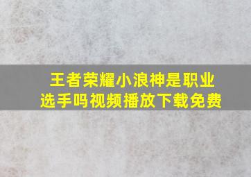 王者荣耀小浪神是职业选手吗视频播放下载免费