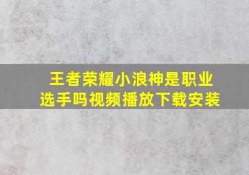 王者荣耀小浪神是职业选手吗视频播放下载安装