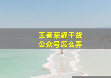 王者荣耀干货公众号怎么弄