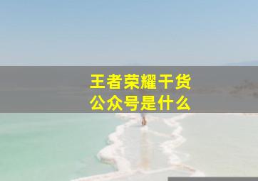 王者荣耀干货公众号是什么