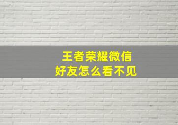 王者荣耀微信好友怎么看不见