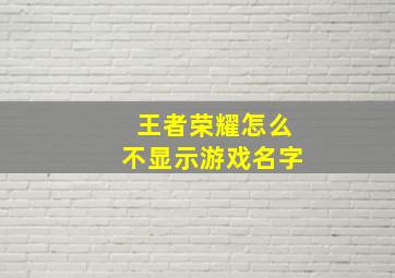 王者荣耀怎么不显示游戏名字