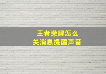 王者荣耀怎么关消息提醒声音