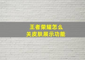 王者荣耀怎么关皮肤展示功能