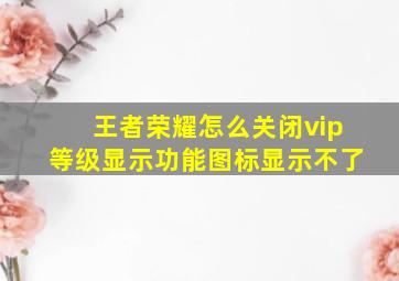 王者荣耀怎么关闭vip等级显示功能图标显示不了