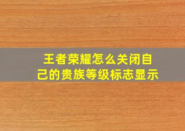 王者荣耀怎么关闭自己的贵族等级标志显示