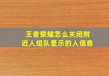 王者荣耀怎么关闭附近人组队显示的人信息