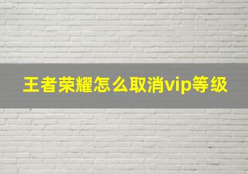 王者荣耀怎么取消vip等级