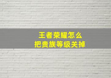 王者荣耀怎么把贵族等级关掉