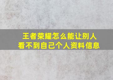 王者荣耀怎么能让别人看不到自己个人资料信息