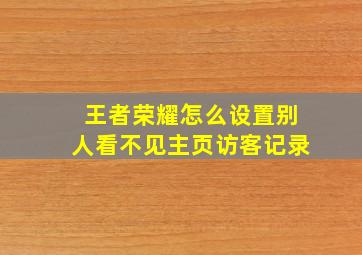 王者荣耀怎么设置别人看不见主页访客记录