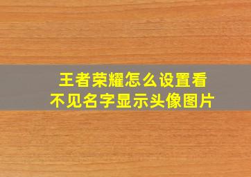 王者荣耀怎么设置看不见名字显示头像图片