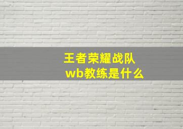 王者荣耀战队wb教练是什么