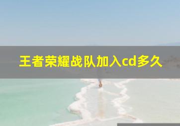 王者荣耀战队加入cd多久