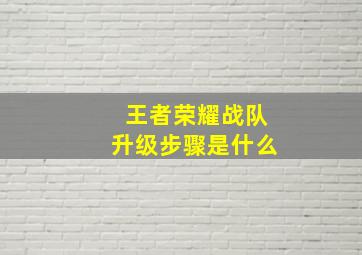 王者荣耀战队升级步骤是什么