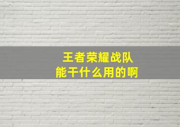 王者荣耀战队能干什么用的啊