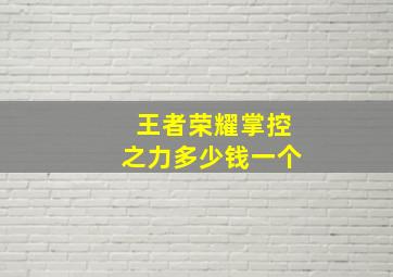 王者荣耀掌控之力多少钱一个