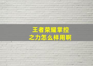 王者荣耀掌控之力怎么样用啊