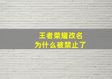 王者荣耀改名为什么被禁止了