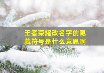 王者荣耀改名字的隐藏符号是什么意思啊