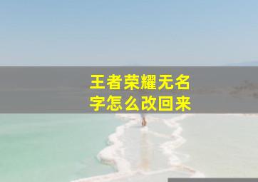 王者荣耀无名字怎么改回来