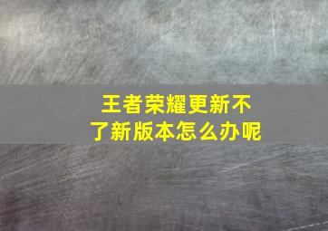 王者荣耀更新不了新版本怎么办呢