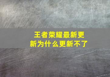 王者荣耀最新更新为什么更新不了