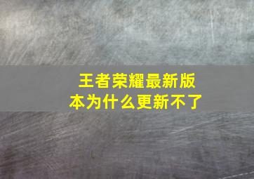 王者荣耀最新版本为什么更新不了