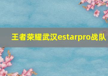 王者荣耀武汉estarpro战队