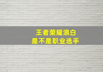 王者荣耀浪白是不是职业选手