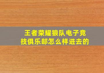 王者荣耀狼队电子竞技俱乐部怎么样进去的