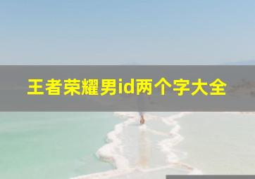 王者荣耀男id两个字大全